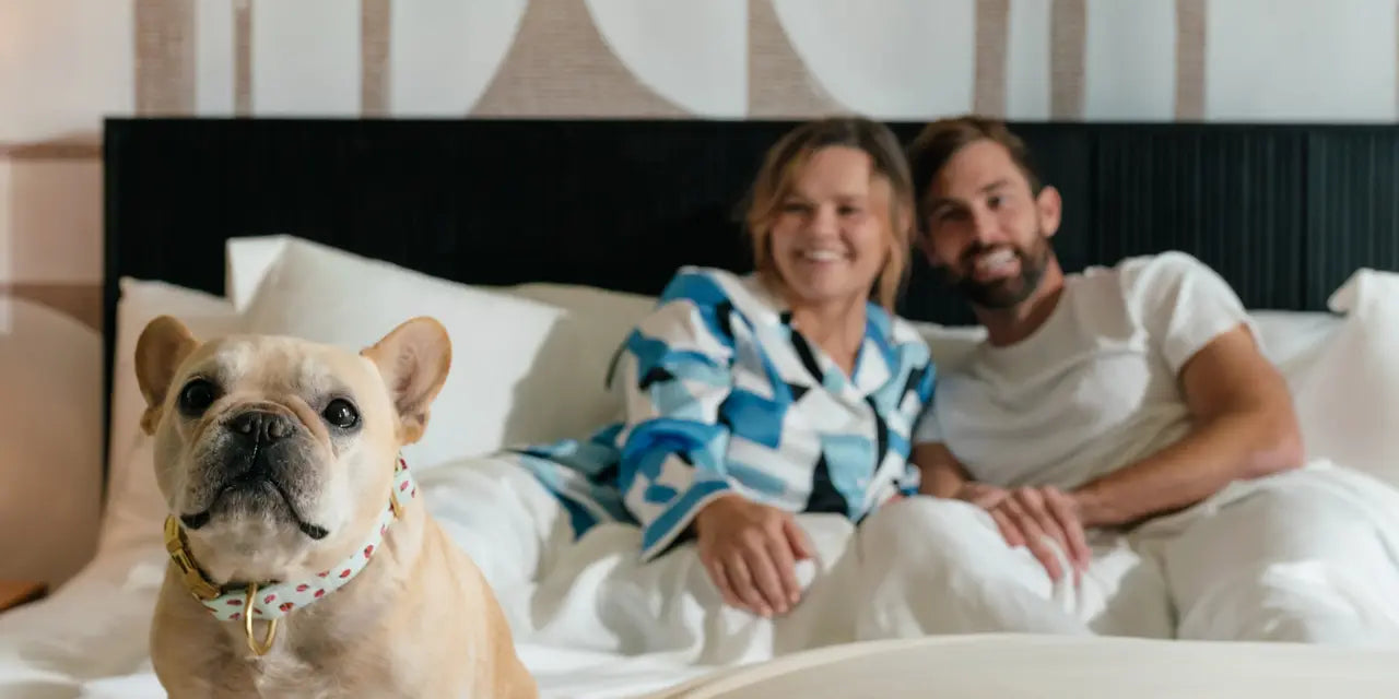 Why a zip closure duvet cover is the Ultimate Bedding Upgrade