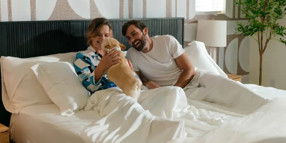 7 Surprising Benefits of Sleeping on Beech Tree Sheets