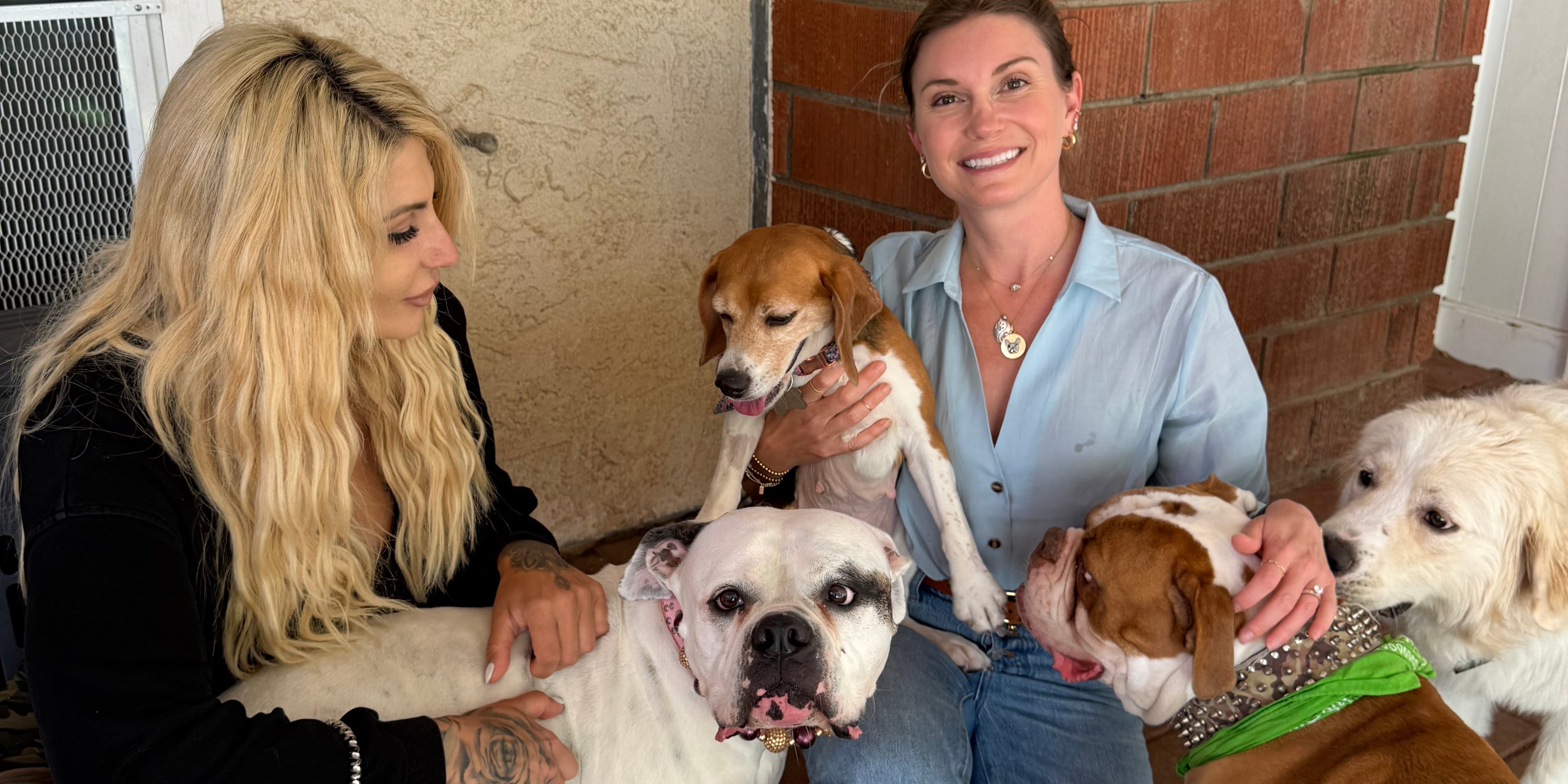 BleuBully Bedding Donates $10,000 to Underdog Heroes Rescue