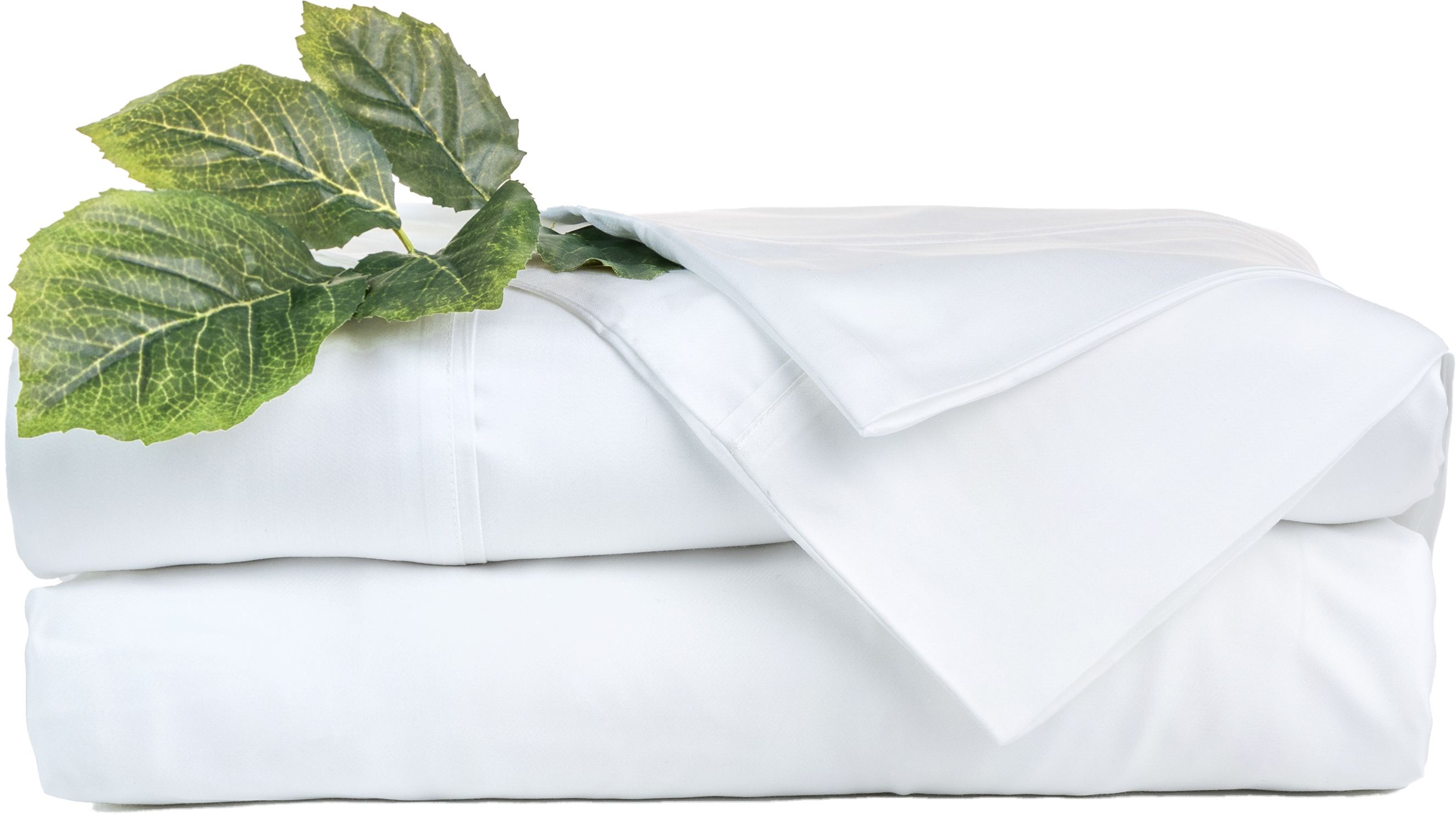 Why is  100% TENCEL™ Modal Bedding So Hard to Find?