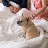 Jersey Knit Duvet Cover in Cloud White