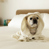 Sateen Duvet Cover in Cloud White